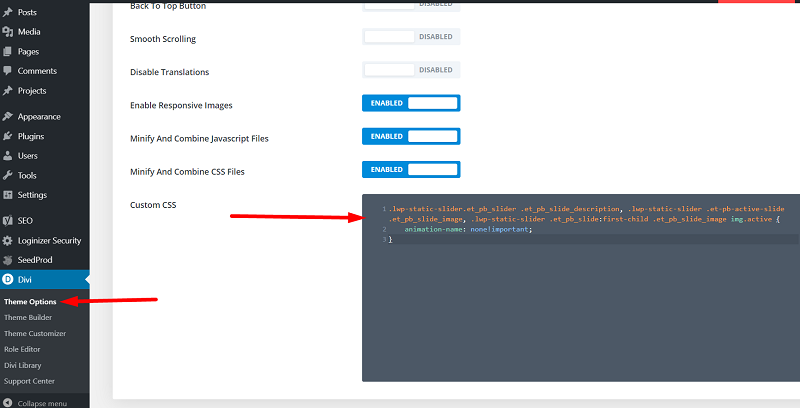 Divi Custom CSS Theme Options change icon toggle
