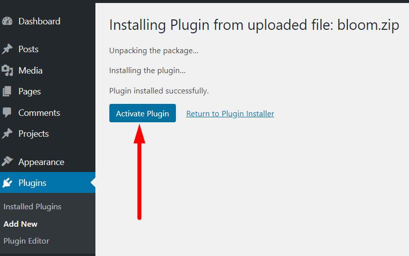 WordPress plugin activate button