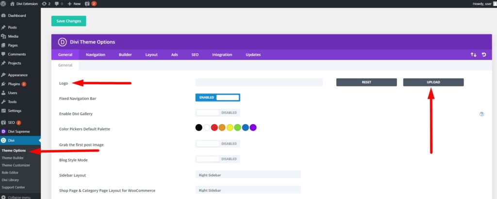 Change Divi Logo through Divi Theme Options