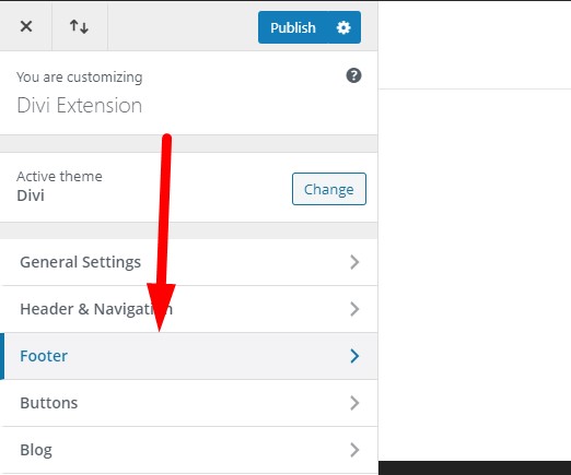 Divi Theme Customizer Footer Option